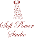 Soft Power Studio